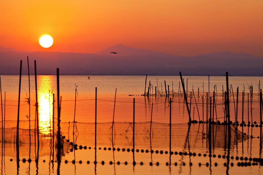 Sunset at Albufera lake in Valencia El Saler. Spai Photograph by Carlos ...