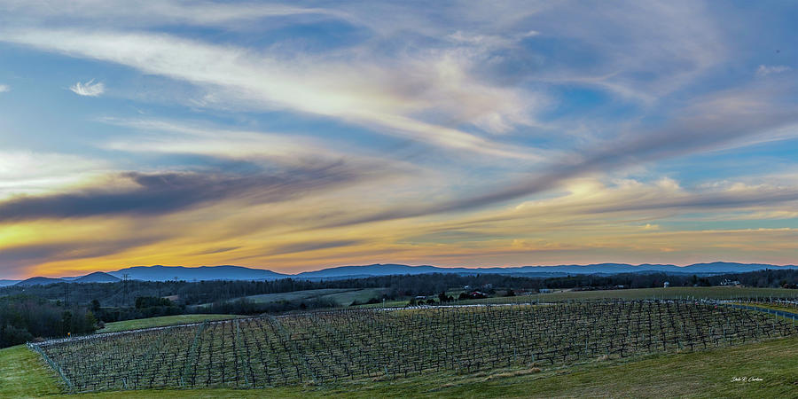 Sunset at Barren Ridge Vineyards Photograph by Dale R Carlson