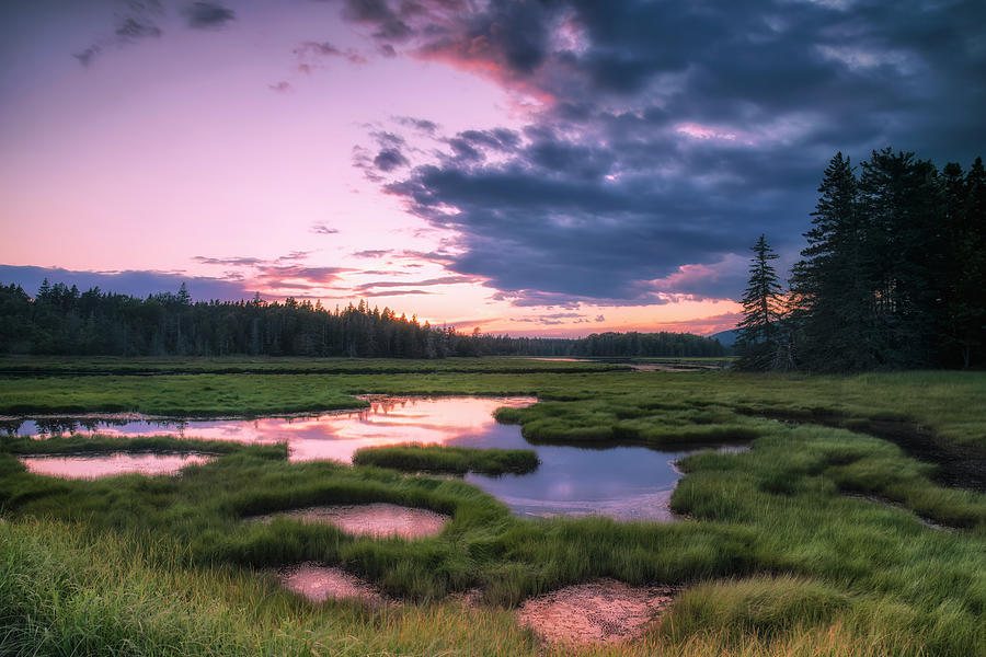 Sunset at Bass Harbor Marsh Photograph by Andy Crawford