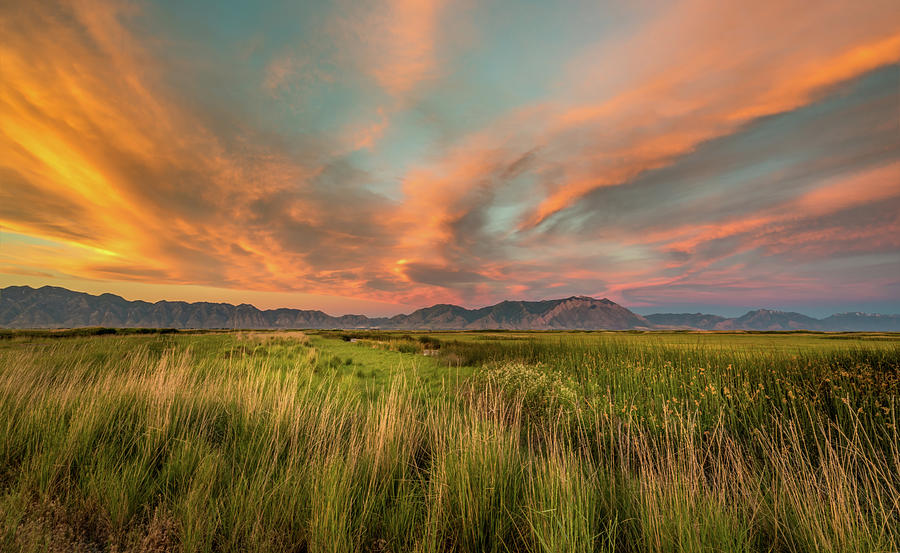 Sunset at Bear River Bird Refuge Photograph by John Wilbur