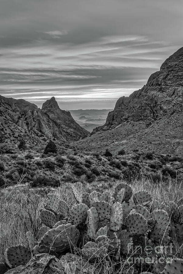 Sunset at Big Bend Window BW Vertical Photograph by Bee Creek ...