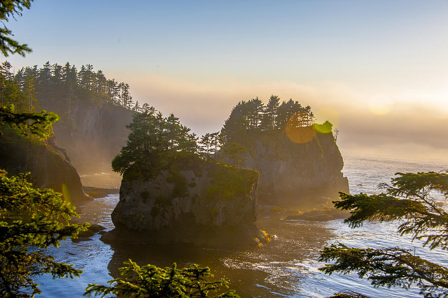 Sunset at Cape Flattery, Olympic National Park, WA Photograph by Dixin Yan