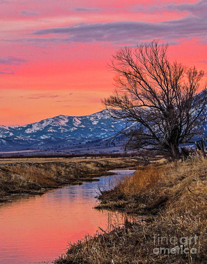 Sunset at Carson Valley Photograph by L J Oakes