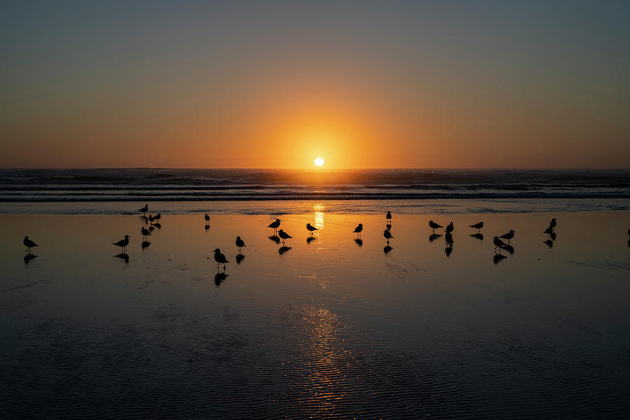 Sunset at Chapman Beach,  Photograph by Robert Potts