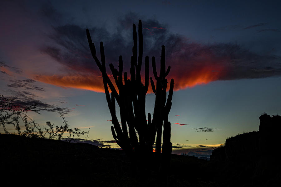 Sunset at Desierto de la Tatacoa Huila Colombia Photograph by Adam Rainoff