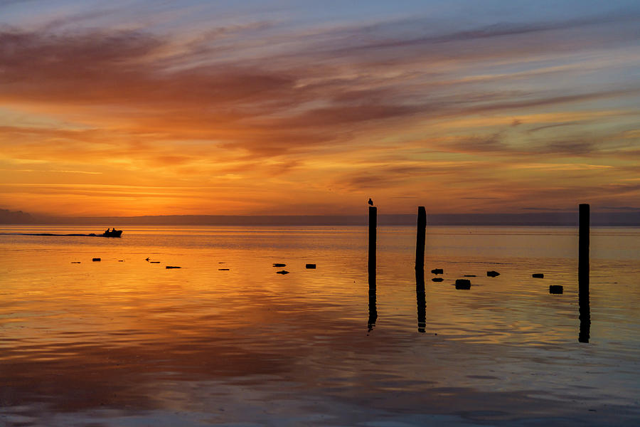 Sunset at Fields Landing Photograph by Jon Exley