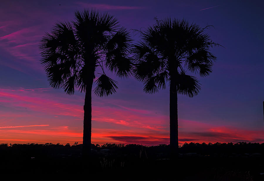Sunset at Garden City Photograph by Joe Granita
