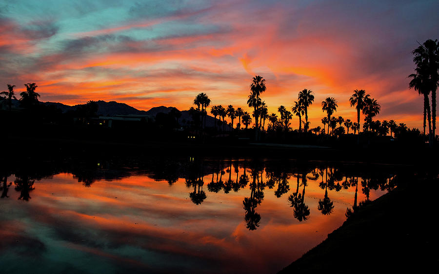 Sunset at Ironwood CC, Palm Desert, California Photograph by Bonnie Colgan