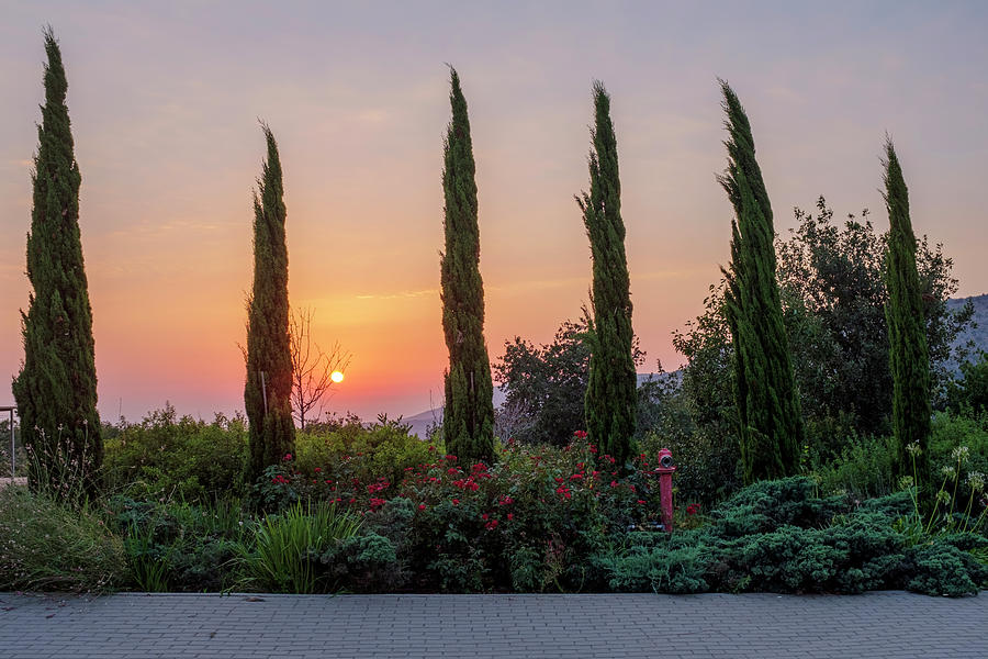 Sunset at Kibbutz Eilon Photograph by Dubi Roman