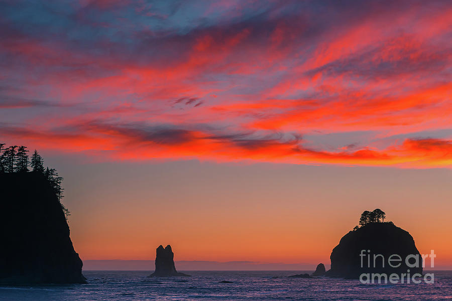 Sunset at La Push Beach Photograph by Henk Meijer Photography