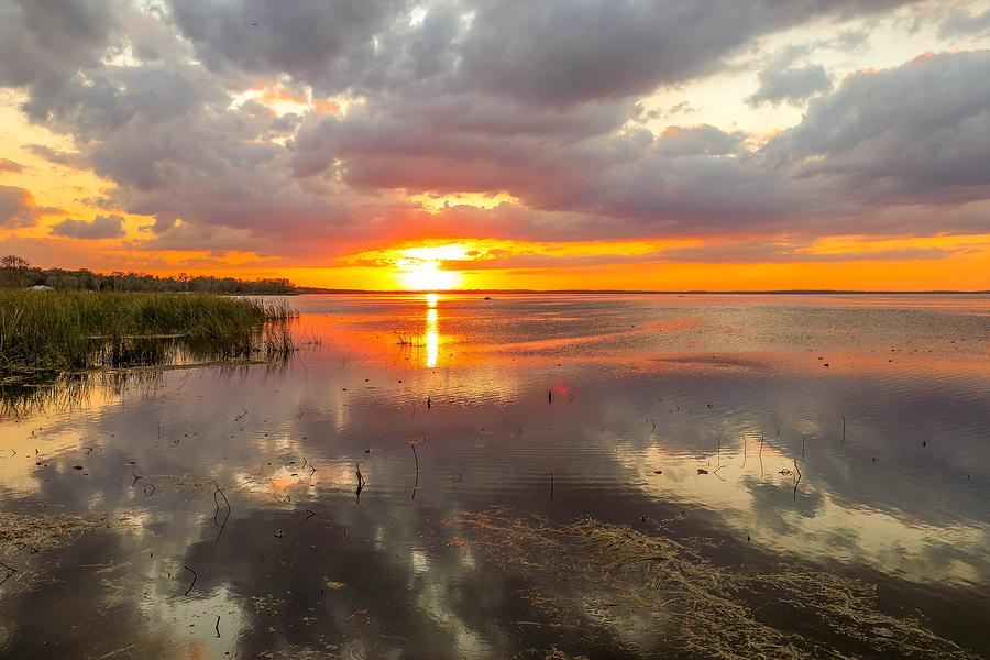 Sunset at Lake Apopka Photograph by Susan Rydberg