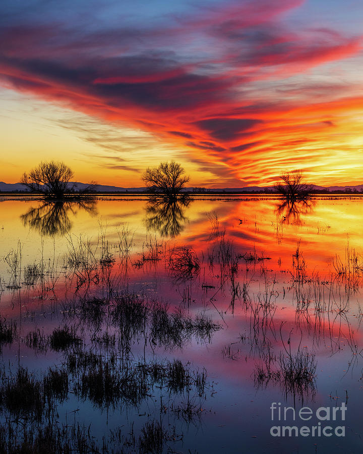 Sunset at Merced Wildlife Refuge Photograph by Mimi Ditchie
