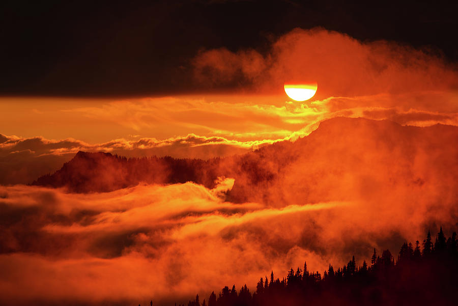 Sunset at Mount Rainier National Park Photograph by Michael Lee
