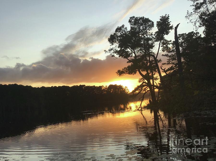 Johnson Millpond - Virginia Sunset at Pond Photograph by Catherine Wilson