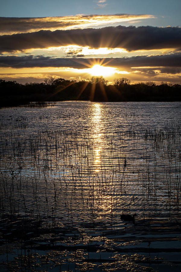 Sunset at Cosumnes River Preserve Photograph by Gary Geddes