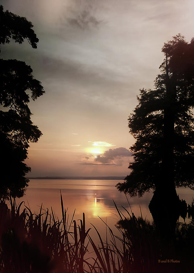 Sunset at Reelfoot Photograph by Bonnie Willis