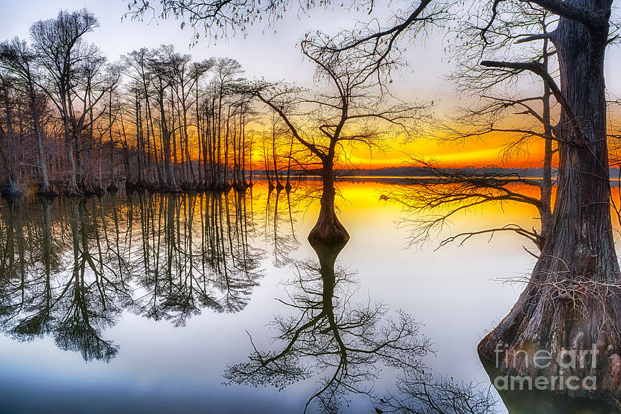 Sunset at Reelfoot Lake in Tennessee by Jimmy Pappas