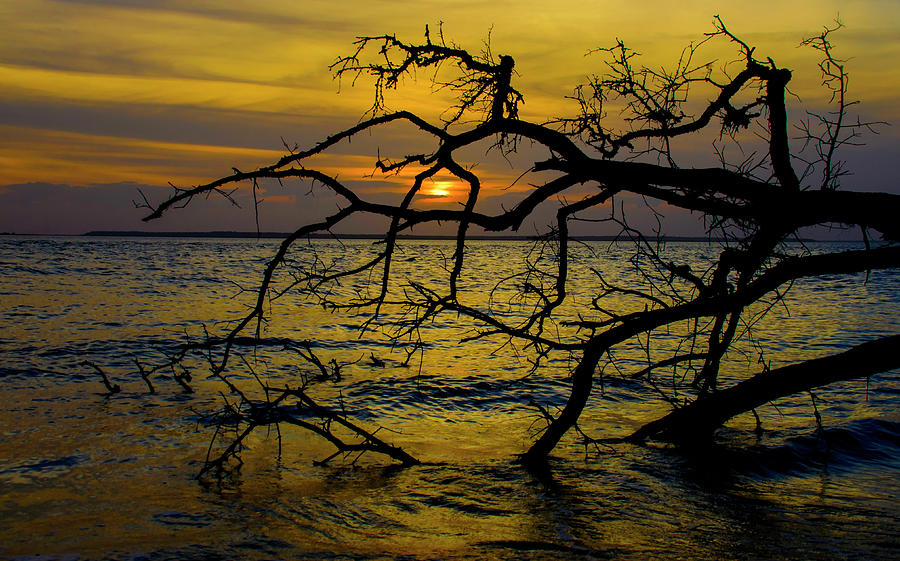 Sunset at the Beach Photograph by Karen Cox