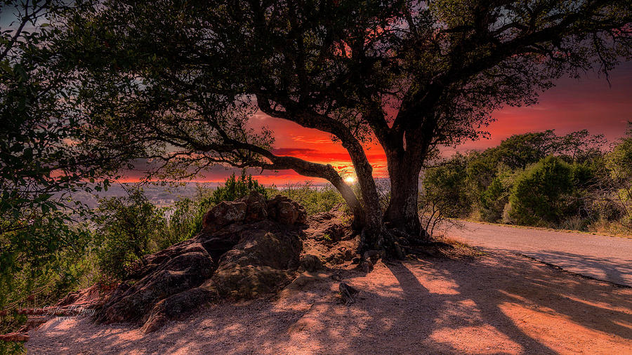 Sunset at the Lake Photograph by G Lamar Yancy