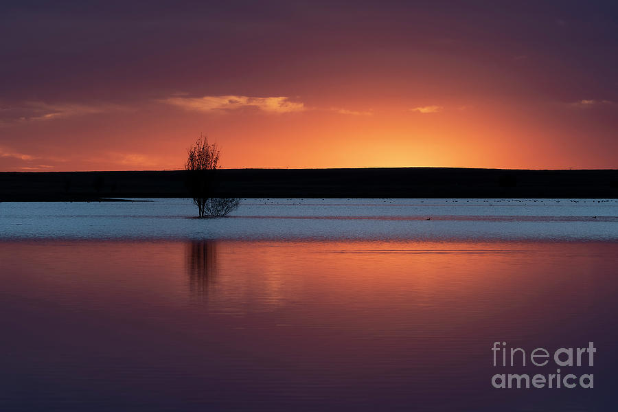 Sunset at the lake Photograph by Hernan Bua