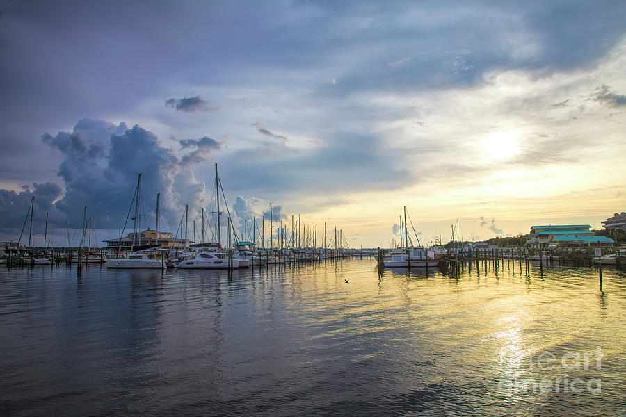 Sunset At The Marina Photograph by Felix Lai