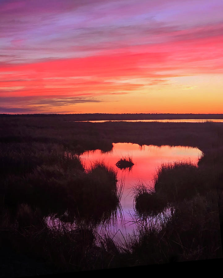 Sunset at the Marshland Photograph by Art Cole