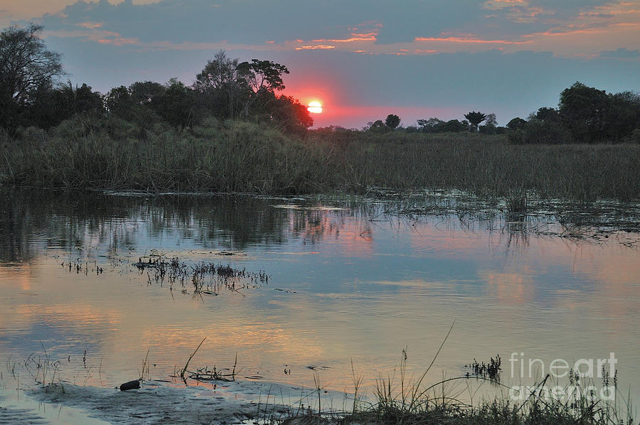 Sunset At The  Okavango, Botswana  Photograph by Tom Wurl