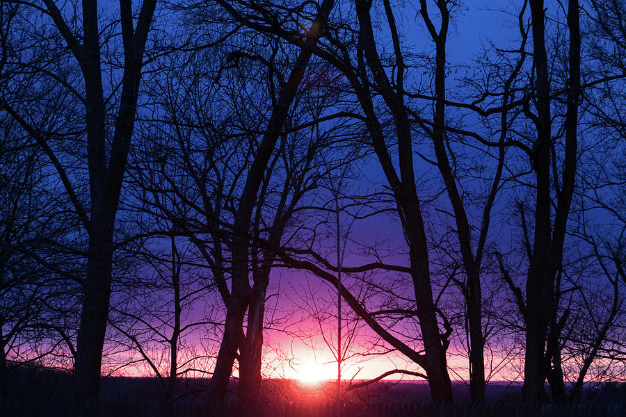 Sunset at the Orchard Photograph by Bruce Patrick Smith