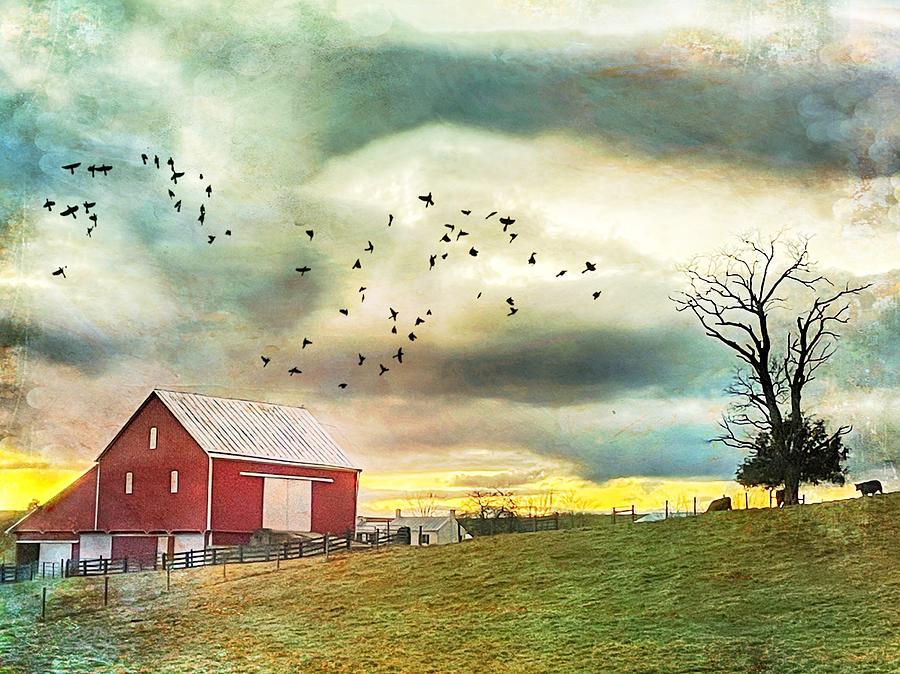 Sunset At The Red Barn Photograph by Kathy Jennings