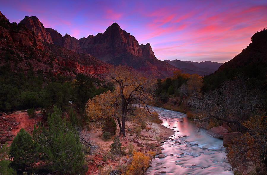 Sunset at the Watchman during autumn at Zion National Park Photograph by Jetson Nguyen