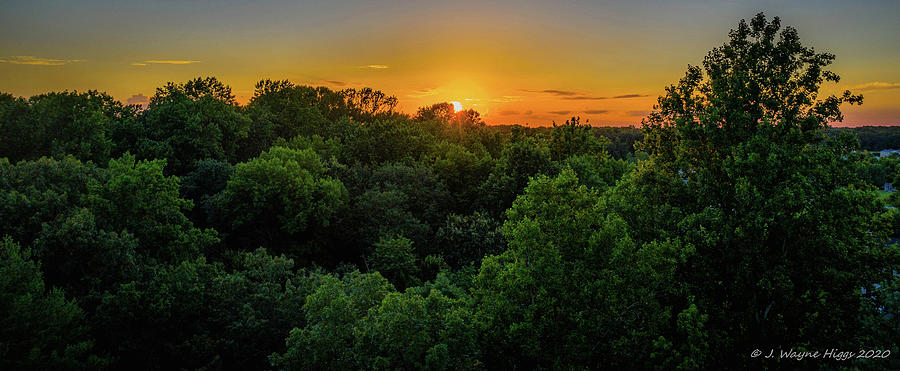 Sunset At Treetops Photograph