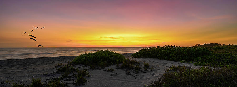 Sunset At Venice Beach  -  sunsetatvenicefl220790 Photograph by Frank J Benz