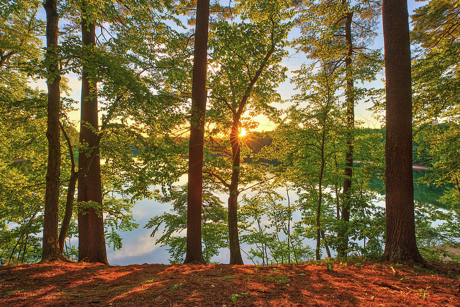 Sunset at Walden Pond Photograph by Juergen Roth