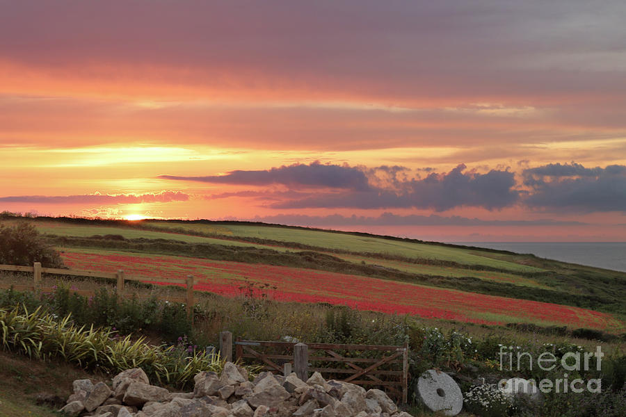 Sunset Photograph - Sunset at West Pentire Cornwall by Terri Waters