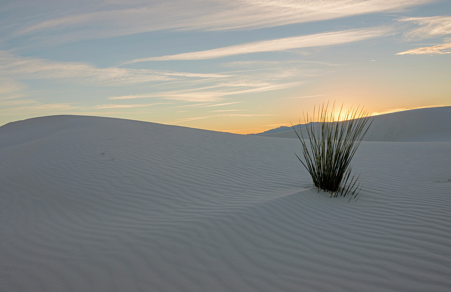 Sunset at White Sands NM Photograph by Loree Johnson