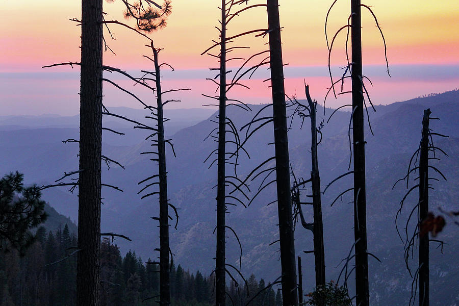 Sunset at Yosemite Photograph by Robert Carter