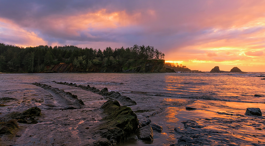 Sunset Bay Geology Photograph by Loree Johnson