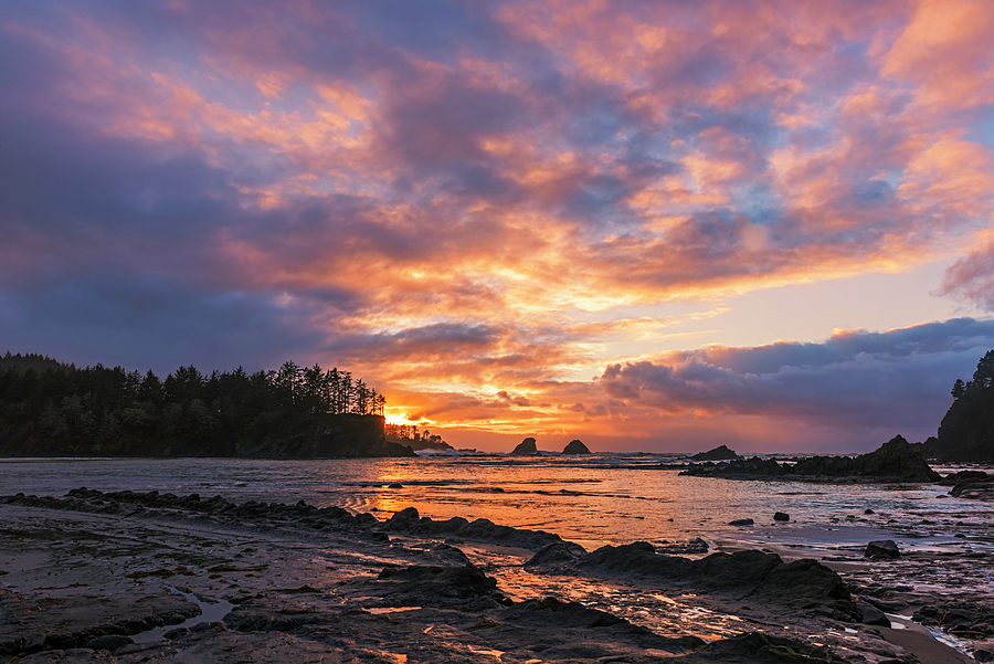 Sunset Bay Photograph by Loree Johnson