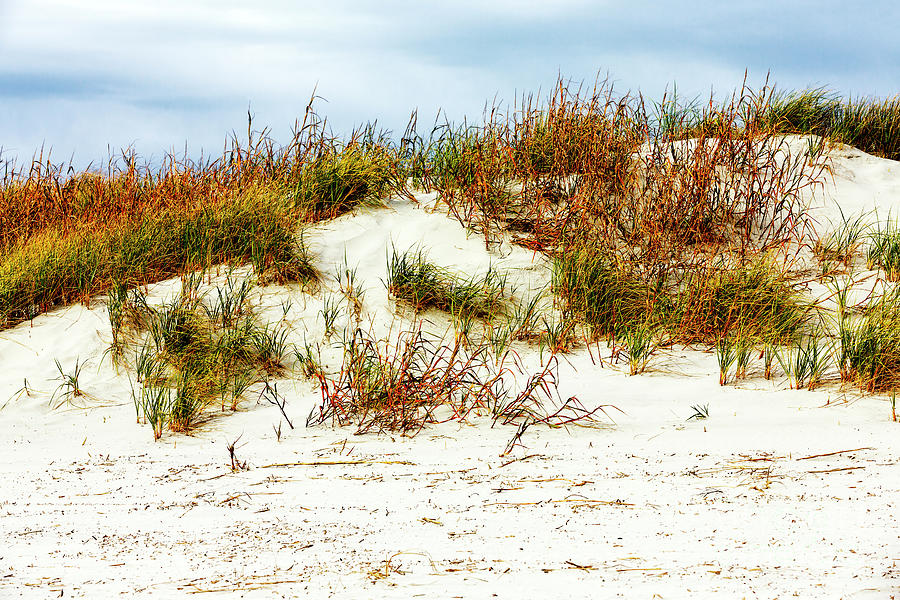 Sunset Beach Dune Study in North Carolina Photograph by John Rizzuto