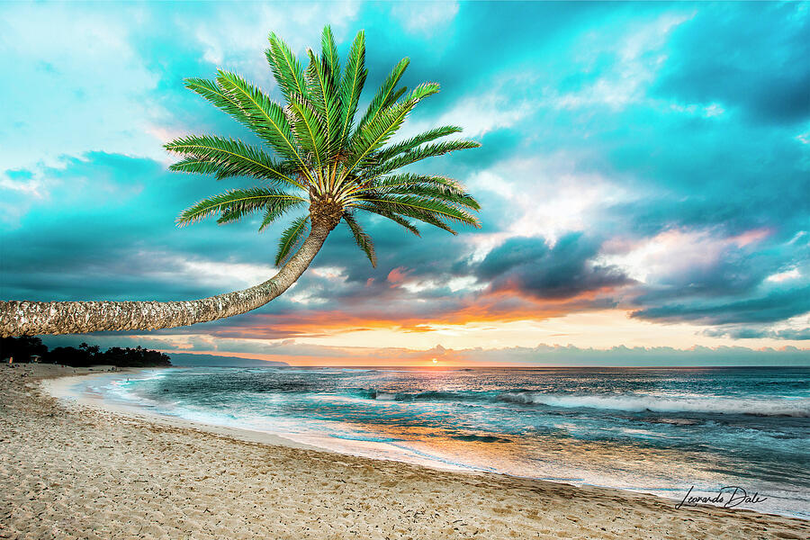 Sunset Beach Hawaii Photograph by Leonardo Dale