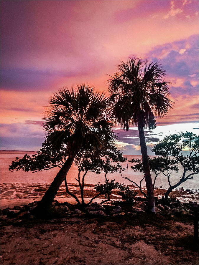 Sunset Beach Photograph by Pamela Williams