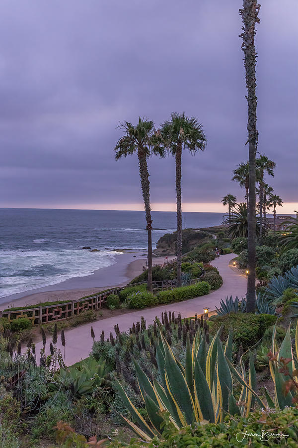 Sunset Beach Path Photograph by Aaron Burrows