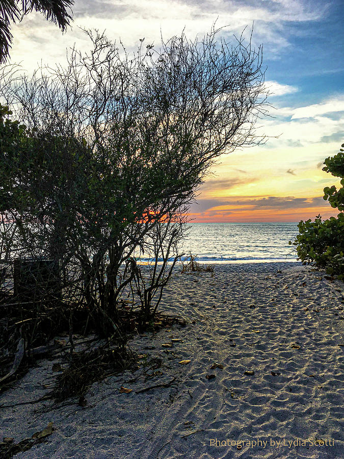Sunset Beach Path - Edited in Lightroom Photograph by Susan Molnar