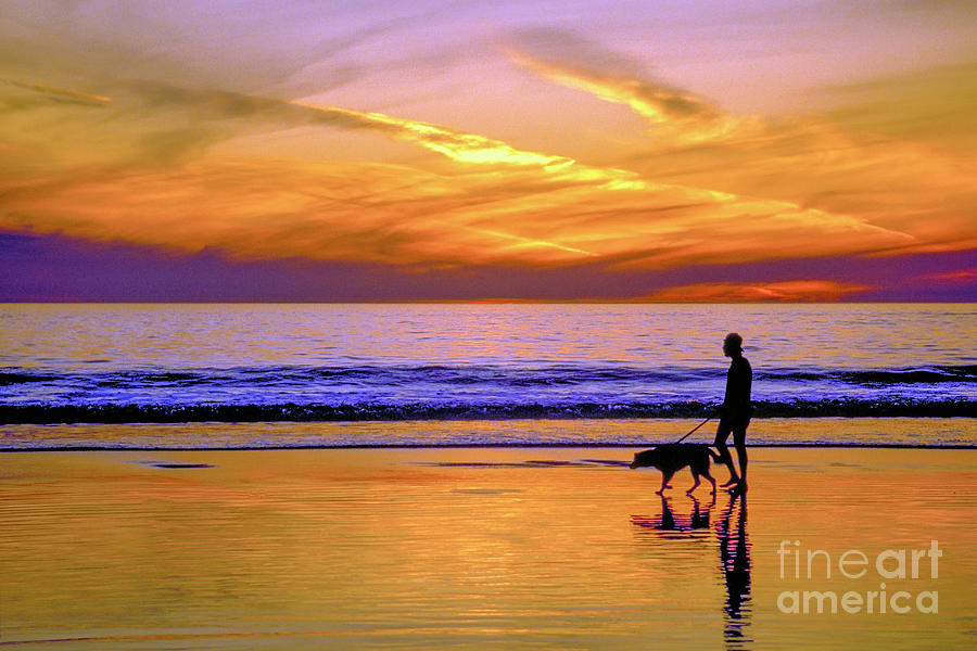 Beach Sunset Walking Dog Photograph by David Zanzinger