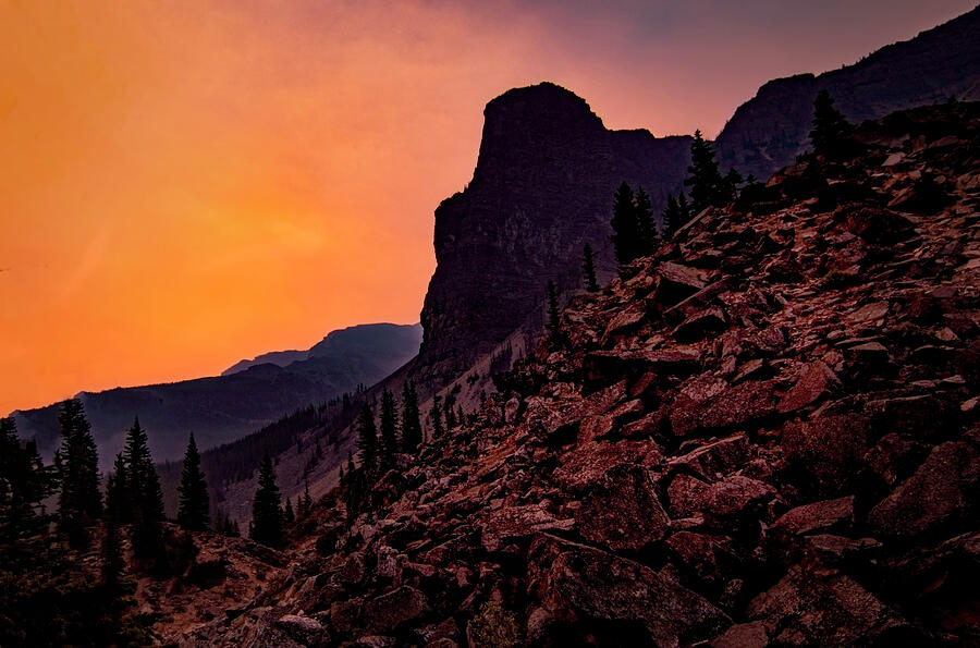 Canadian Mountains Sunset Blooms Photograph by Norma Brandsberg