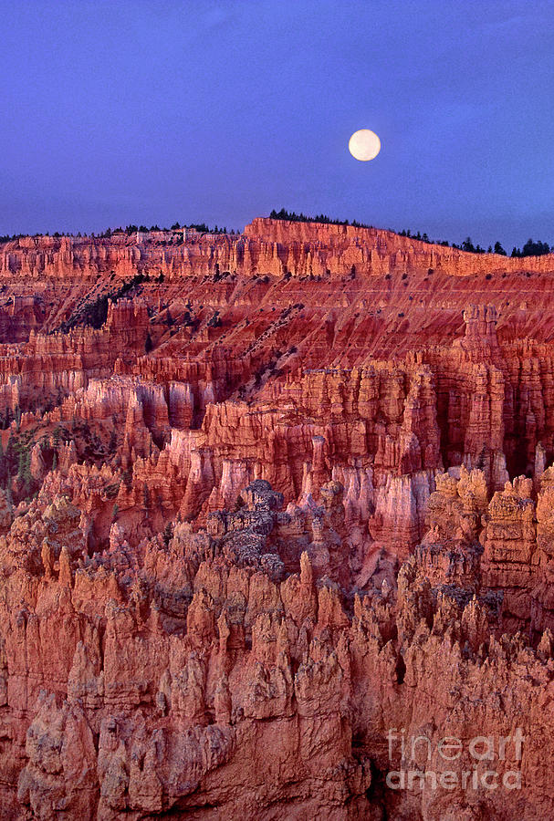 Sunset Bryce Canyon National Park Utah Photograph by Dave Welling