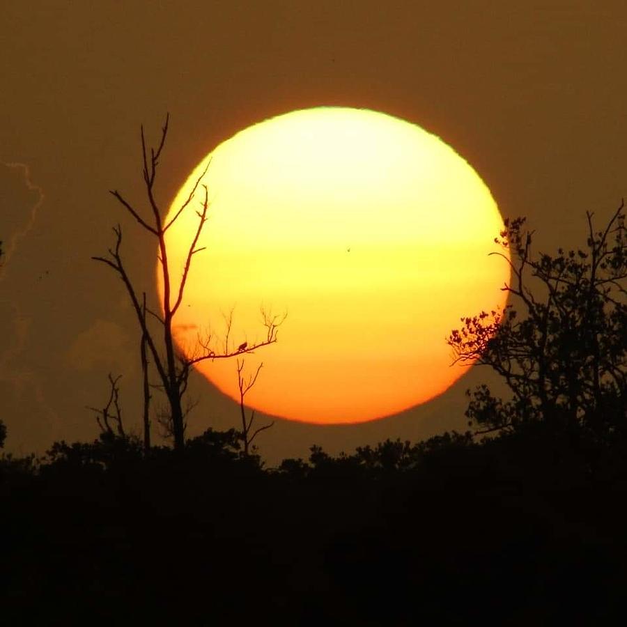 Sultry Sunset Photograph by Captured by Trina M - Fine Art America