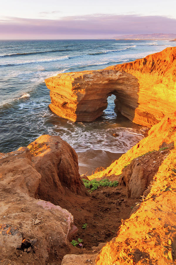 Sunset Cliffs, San Diego - Vertical Photograph by Patti Deters