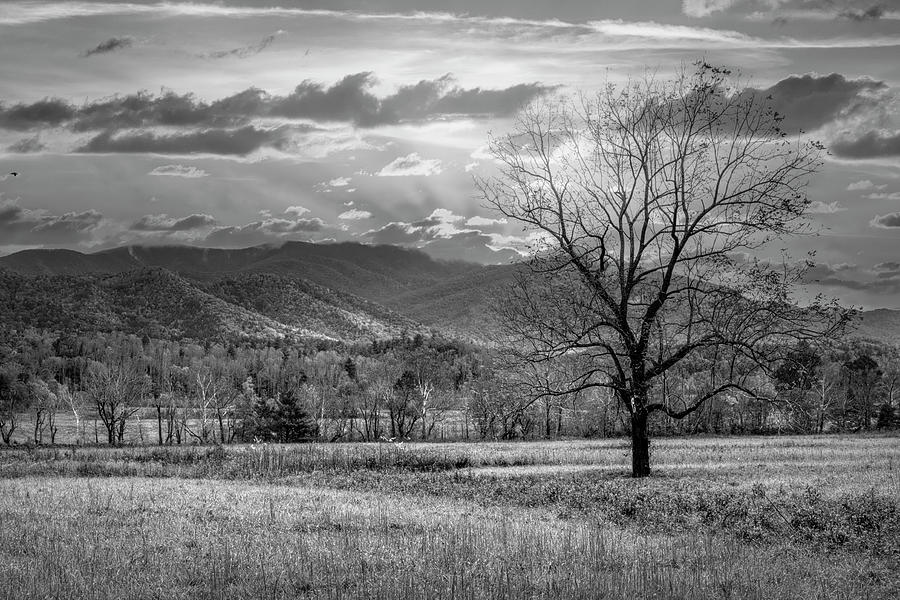 Sunset Clouds in Cades Cove Black and White Photograph by Debra and Dave Vanderlaan