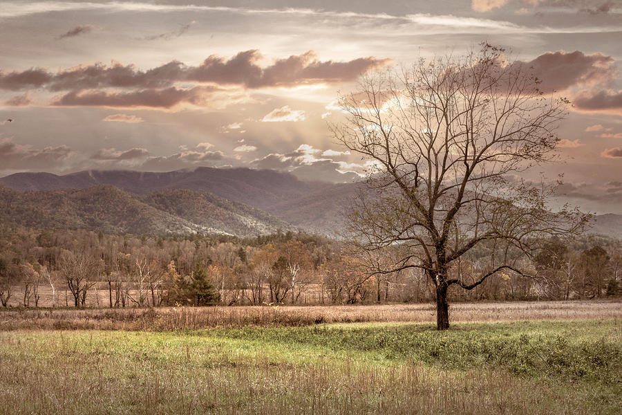 Sunset Clouds in Cades Cove Farmhouse Hues Photograph by Debra and Dave Vanderlaan